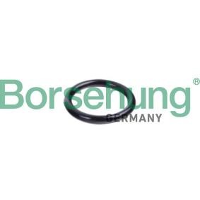 Dichtring, Kühlmittelrohrleitung B10632