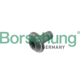 Comprar Tornillo, disco de freno de Borsehung B10635 a bajo precio de 2,21 €