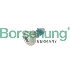 Comprar Tornillo de retención, tiempos distribución de Borsehung B10646 a bajo precio de 1,98 €
