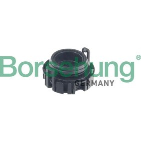Öldruckventil von Borsehung
