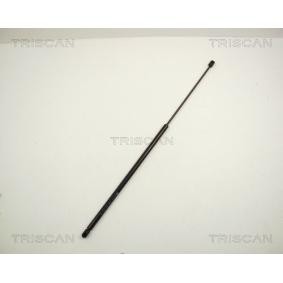 Heckklappendämpfer von TRISCAN