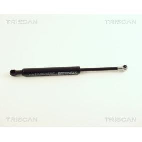 Heckklappendämpfer von TRISCAN