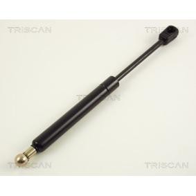 Heckklappendämpfer von TRISCAN