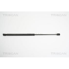 Heckklappendämpfer von TRISCAN