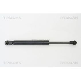 Heckklappendämpfer von TRISCAN