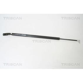 Kofferraum von TRISCAN für L 400 Bus (PD_W, PC_W, PA_V, PB_V, PA_W) günstig online kaufen