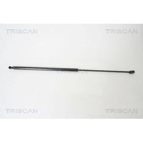 Motorhaubendämpfer für SAAB von TRISCAN