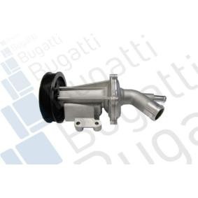 Achetez des Pompe à eau BUGATTI PA10025 à prix pour 299,07 €