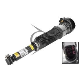 Luftfederbein von Dunlop Airsuspension günstig für 1319,27 €