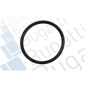 Wasserpumpe PA6203 für HONDA