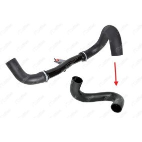 Acquista Flessibile aria alimentazione da NIFEA 14813 a buon mercato per soli 42,23 €
