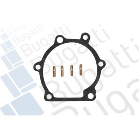 Achetez des Pompe à eau BUGATTI PA9205 à prix pour 66,42 €
