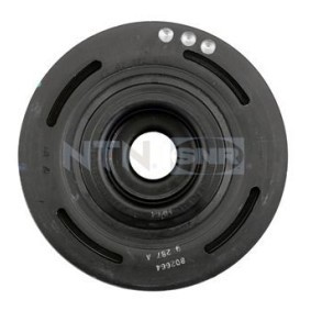Riemenscheibe, Kurbelwelle DPF355.11 für RENAULT