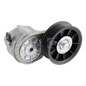 Compre Rolo tensor, correia trapezoidal estriada de SNR online para Discovery II (L318) a preços moderados