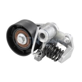 Compre Rolo tensor, correia dentada da SNR GT352.24 a um preço baixo por 60,76 €