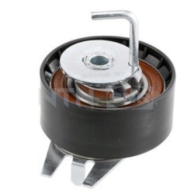 Compre Rolo tensor, correia dentada da SNR GT359.35 a um preço baixo por 49,97 €