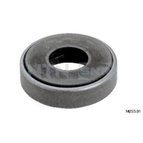 Acquista Kit riparazione, Cuscinetto ammortizzatore a molla da SNR M253.01 a buon mercato per soli 5,84 €
