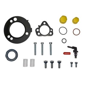 Reparatursatz, Kraftstoffpumpe ENT210060