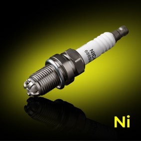 Zündkerze für ALPINA von RIDEX PLUS