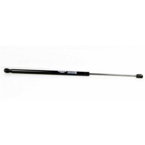 Heckklappendämpfer EP10158GS für OPEL