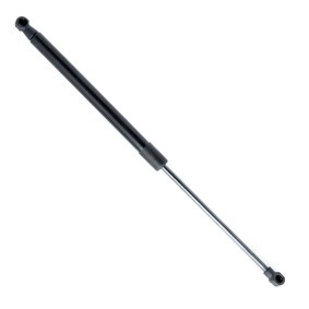 Achetez des Vérin de coffre EINPARTS EP10257GS à prix pour 13,31 €