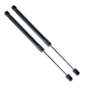 Heckklappendämpfer von EINPARTS