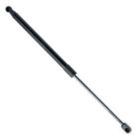 Heckklappendämpfer von EINPARTS
