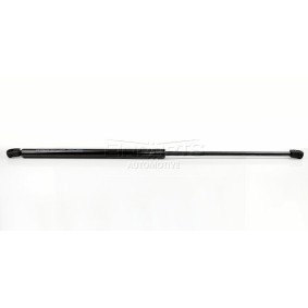 Heckklappendämpfer EP11060GS für OPEL