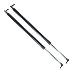 Heckklappendämpfer von EINPARTS