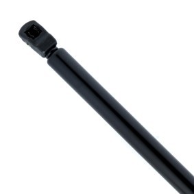 Heckklappendämpfer von EINPARTS