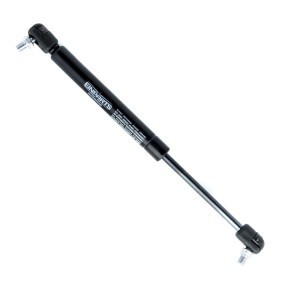 Heckklappendämpfer für HYUNDAI von EINPARTS