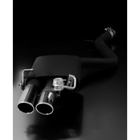 Endschalldämpfer 509013 0556L