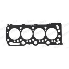 Acquista Guarnizione testata da PAYEN AB5030 a buon mercato per soli 97,84 €