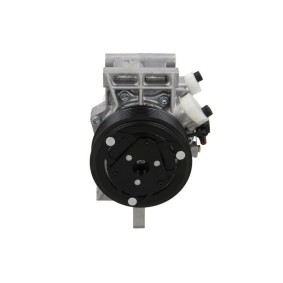 Achetez des Compresseur de climatisation BV PSH 090.165.035.200 à prix pour 278,41 €