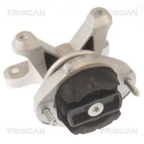 Lagerung, Automatikgetriebe von TRISCAN