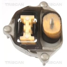 Lagerung, Automatikgetriebe für AUDI von TRISCAN
