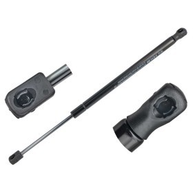 Acquista Ammortizzatore pneumatico cofano motore da MEYLE 70-40 910 0000 a buon mercato per soli 22,57 €