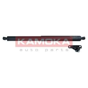 Heckklappendämpfer 7092641
