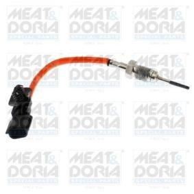 Abgastemperatursensor 12631
