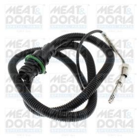 Abgastemperatursensor 12651