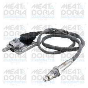NOx-Sensor, NOx-Katalysator von MEAT & DORIA