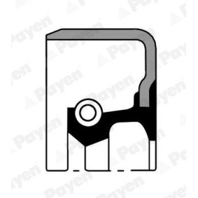 Ventildeckeldichtung für RENAULT TRUCKS von PAYEN