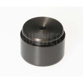 Acquista Pistoncino pinza freno da BUDWEG CALIPER 234420 a buon mercato per soli 17,67 €