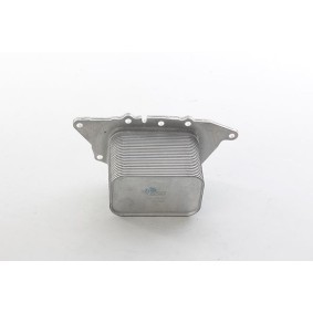 Achetez des Radiateur d'huile BSG BSG 15-506-044 à prix pour 61,23 €