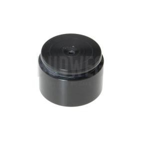 Comprar Émbolo, pinza del freno de BUDWEG CALIPER 234613 a bajo precio de 16,75 €