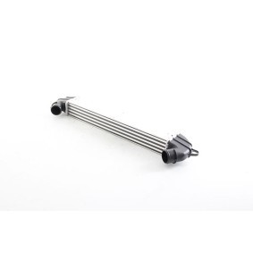 Achetez des Intercooler BSG BSG 25-535-011 à prix pour 119,86 €