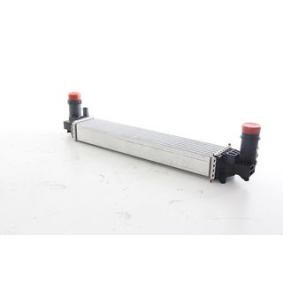 Köp Intercooler av BSG BSG 25-535-014 till det låga priset 2442,57 kr