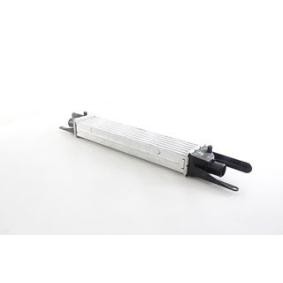 Köp Intercooler av BSG BSG 25-535-018 till det låga priset 1396,46 kr