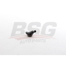 Acquista Flessibile radiatore da BSG BSG 25-720-062 a buon mercato per soli 34,05 €