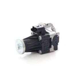 Comprar Válvula EGR de BSG BSG 30-836-003 a bajo precio de 156,64 €
